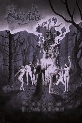 Spell Forest : Cadent in Aeternum: The Dark Spell Forest